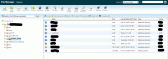 file5.PNG