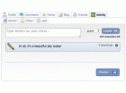 Activity Feed